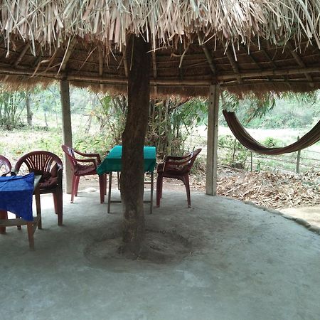 Chital Lodge Chitwan Exterior photo