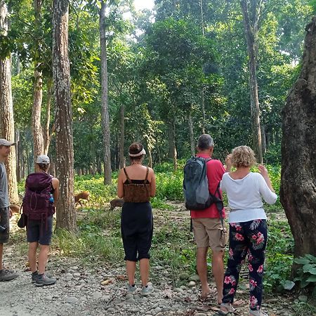 Chital Lodge Chitwan Exterior photo