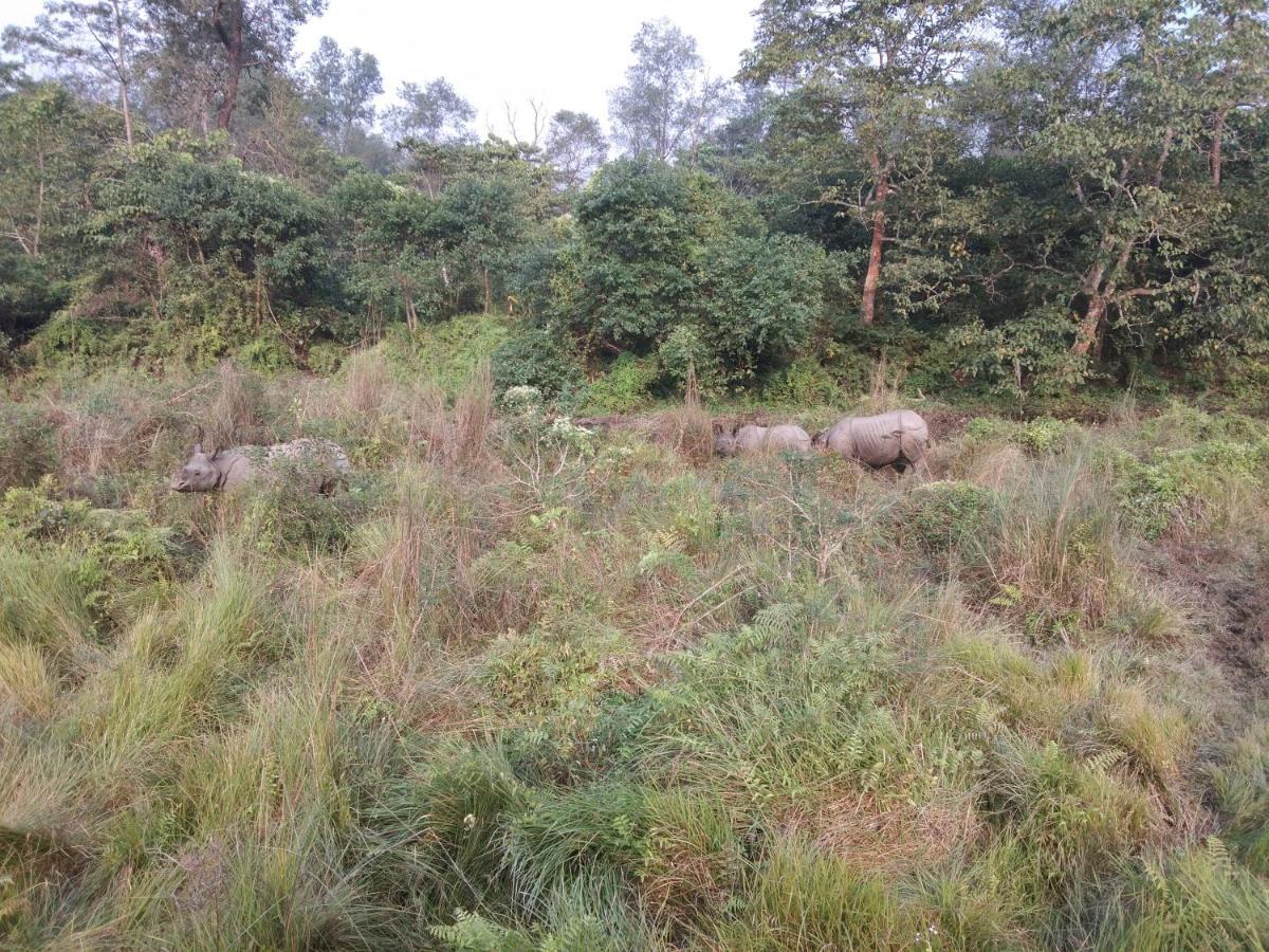 Chital Lodge Chitwan Exterior photo